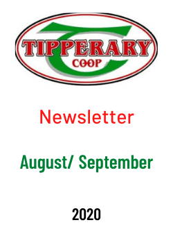 past newsletters